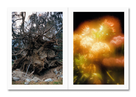 Photography book titled "How About Never" by MACK featuring a cover with artistic imagery and design elements.