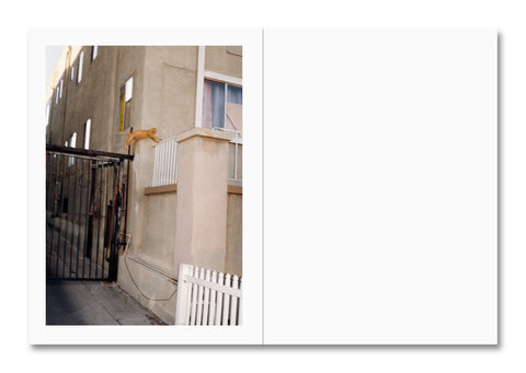 Open photography book titled "How About Never" by MACK, featuring visual layouts and black-and-white images on pages.