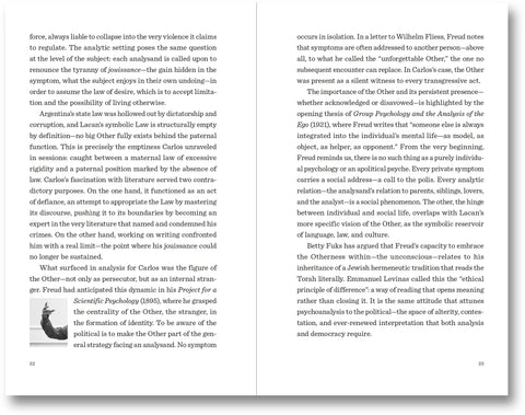 Case by Case: Psychoanalysis and the Political