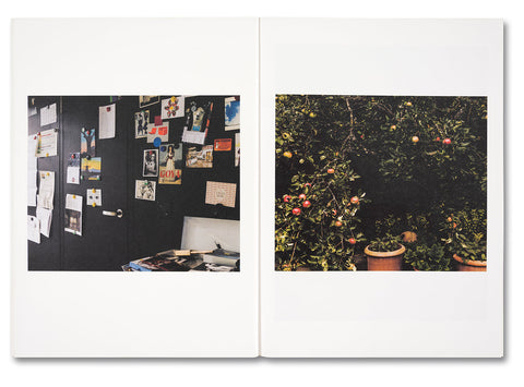 Koechlin House - MACK