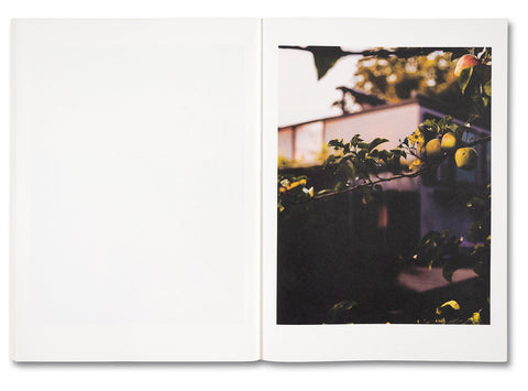 Koechlin House - MACK