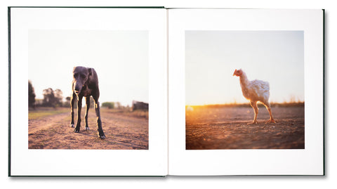 On the Sixth Day - MACK