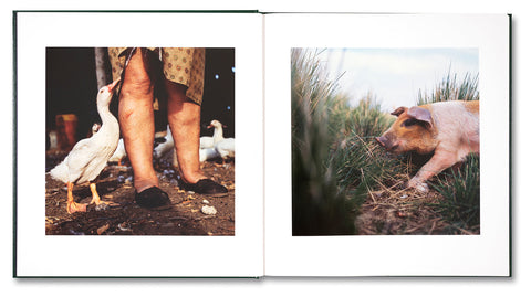 On the Sixth Day - MACK