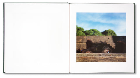 On the Sixth Day - MACK