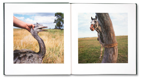 On the Sixth Day - MACK