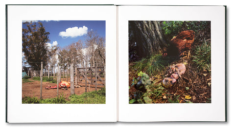 On the Sixth Day - MACK