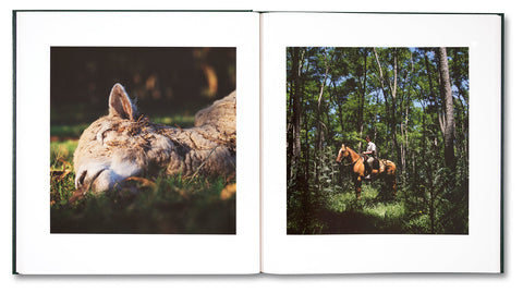 On the Sixth Day - MACK