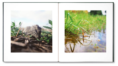 On the Sixth Day - MACK