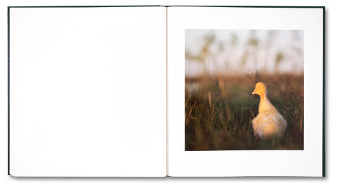 On the Sixth Day - MACK