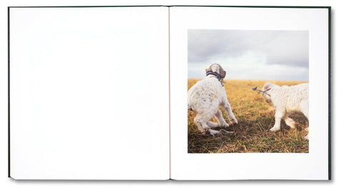 On the Sixth Day - MACK