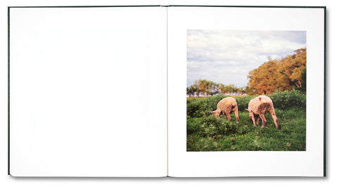 On the Sixth Day - MACK