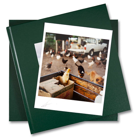 On the Sixth Day Special Edition - MACK