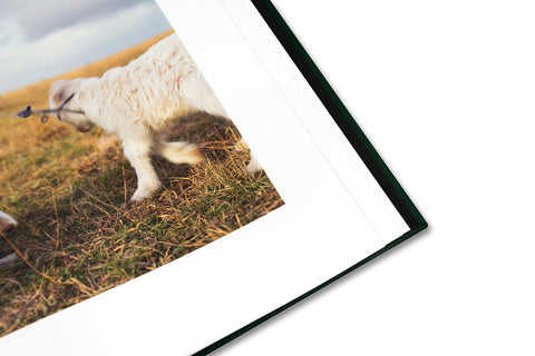 On the Sixth Day - MACK