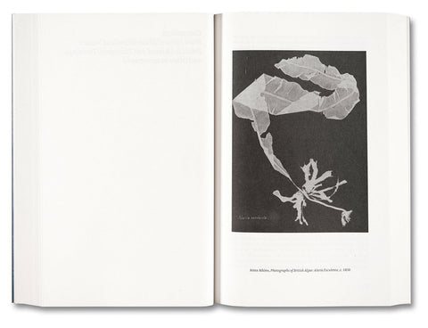 Painting Photography Painting: Selected Essays - MACK