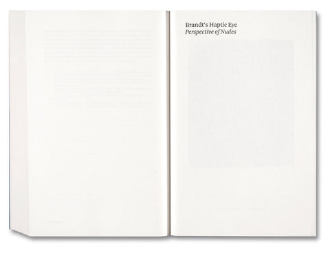 Painting Photography Painting: Selected Essays - MACK