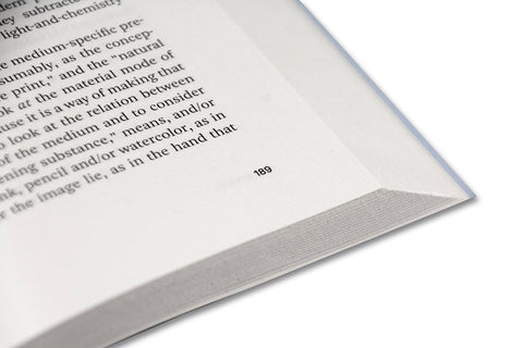 Painting Photography Painting: Selected Essays - MACK