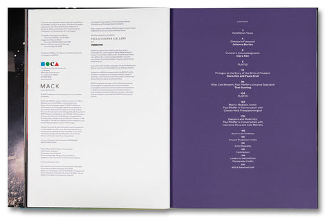 Paul Pfeiffer: Prologue to the Story of the Birth of Freedom - MACK