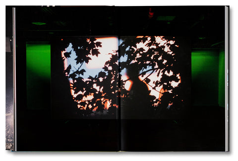 Paul Pfeiffer: Prologue to the Story of the Birth of Freedom - MACK