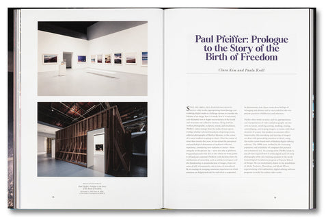 Paul Pfeiffer: Prologue to the Story of the Birth of Freedom - MACK