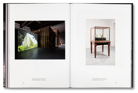 Paul Pfeiffer: Prologue to the Story of the Birth of Freedom - MACK