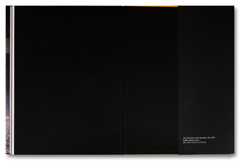 Paul Pfeiffer: Prologue to the Story of the Birth of Freedom - MACK