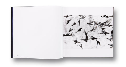 Ravens  Masahisa Fukase - MACK