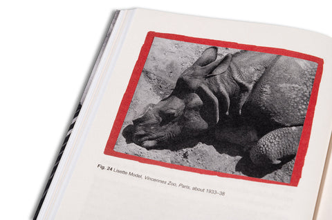 Renegade: Photography in the Life of Lisette Model