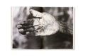 Photograph from the "Restricted Images" photography book by SPBH Editions, showcasing indigenous Warlpiri art from Central Australia.