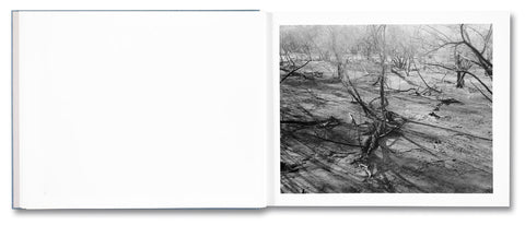 Rivers Run Through It - MACK