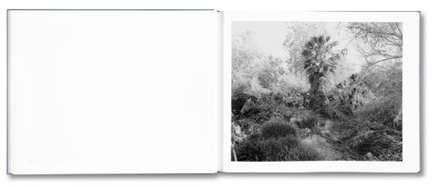 Rivers Run Through It - MACK