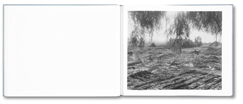 Rivers Run Through It - MACK