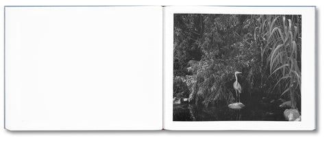 Rivers Run Through It - MACK