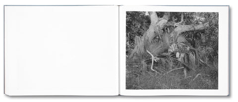 Rivers Run Through It - MACK