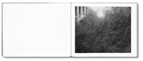 Rivers Run Through It - MACK