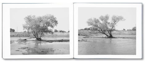 Rivers Run Through It - MACK