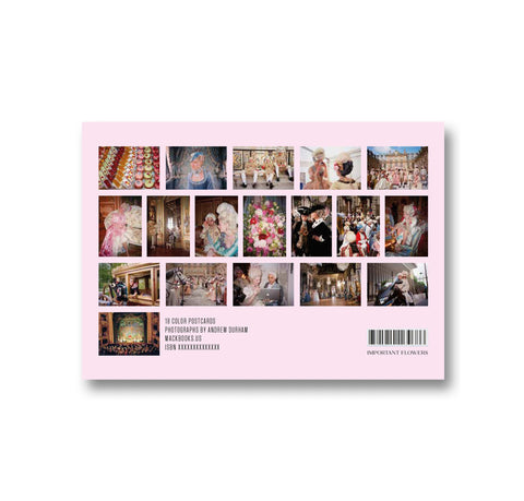 Back view of Making Marie Antoinette postcards stationery by IMPORTANT FLOWERS, featuring vintage-inspired designs on textured paper.