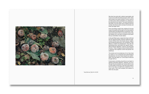 Open photography book titled The Mental Image by MACK featuring black-and-white landscape images on the pages.