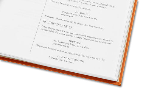 Sing Sing Screenplay Book