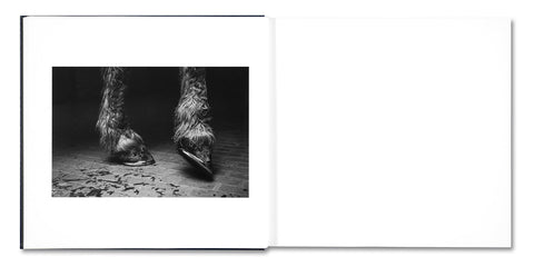 Some Say Ice (Second Printing) - MACK