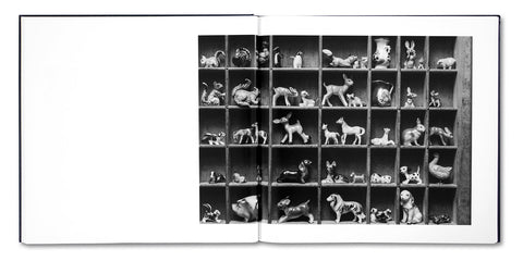 Some Say Ice (Second Printing) - MACK