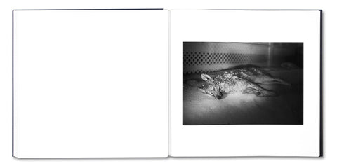 Some Say Ice (Second Printing) - MACK