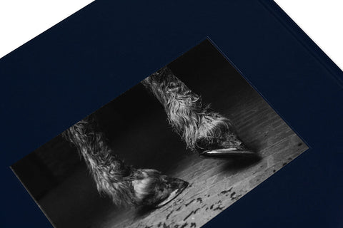 Some Say Ice (Second Printing) - MACK