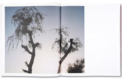 Speak The Wind - MACK