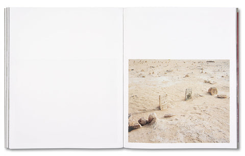 Speak The Wind - MACK