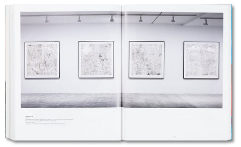 Base Matter and Uncommon Solvent: Drawings, Prints, Collages, and Objects 1988–2024