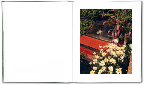 The British Isles - MACK