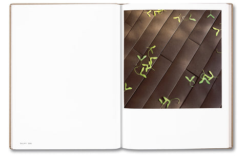 The Dailies (Expanded Edition) - MACK