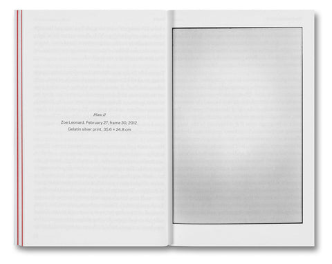 The Devouring Eye: Photography and the Mouth