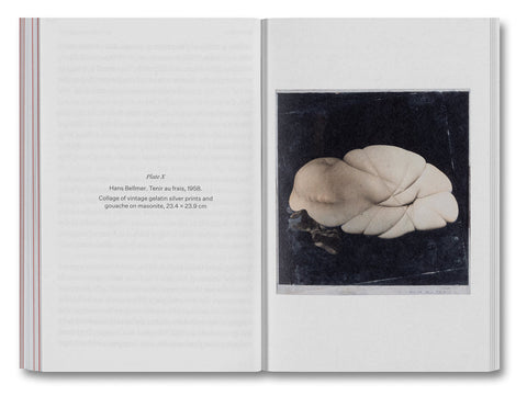 The Devouring Eye: Photography and the Mouth