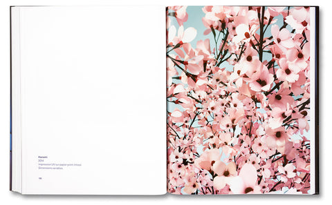 Le bégaiement de l’histoire - MACK